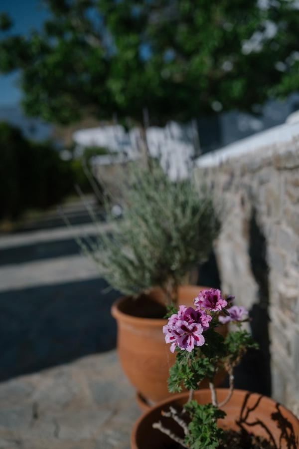 Livadi  Indigo Studios מראה חיצוני תמונה